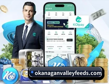 168体育直播在线观看 APP 深度功能